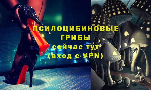 дурь Арсеньев