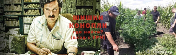 дурь Арсеньев