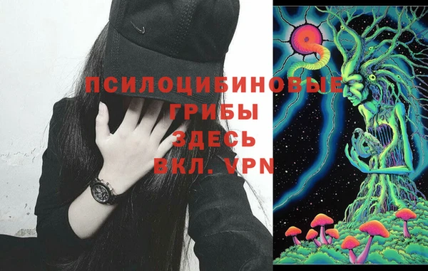 хмурый Армянск