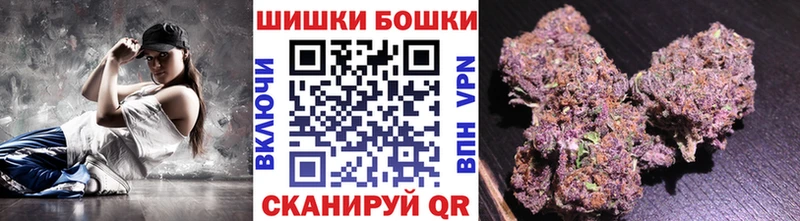 Канабис OG Kush  Павловск 